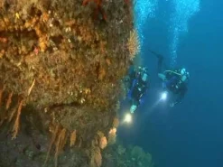 Palmes de plongée réglables SEAWING NOVA SCUBAPRO
