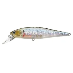 POINTER 100|LUCKY CRAFT