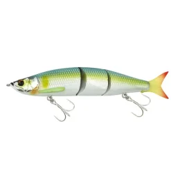 Poissons Nageurs Mirage JT | FLASHMER