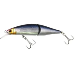Poissons Nageurs Rafale JT| FLASHMER