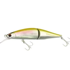 Poissons Nageurs Rafale JT| FLASHMER