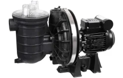 POMPE DE FILTRATION STA-RITE EAU SALÉE S5P2R