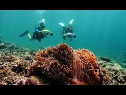 Scooter sous-marin MANTA ASIWO