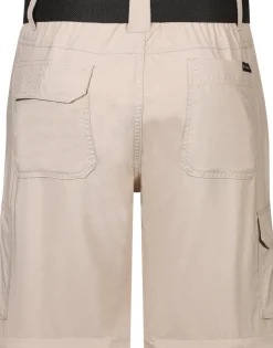 Short de randonnée Homme SILVER RIDGE UTILITY CARGO SHORT ANCIENT FOSSIL COLUMBIA