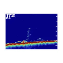 SONDE A COLLER GT15M GARMIN