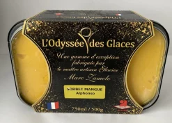 SORBET ARTISANAL MANGUE 750ML ODYSSEES DES GLACES