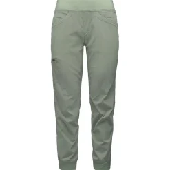 W TECHNICIAN JOGGER PANTS Laurel Green - BLACK DIAMOND